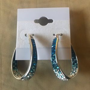 Blue and sliver earrings